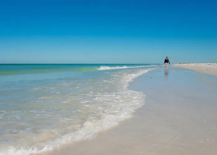 Barefoot In Indian Shores Minutes From Clearwater Apartment Clearwater Beach
