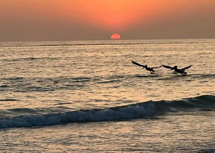 Barefoot In Indian Shores Minutes From Clearwater * Clearwater Beach