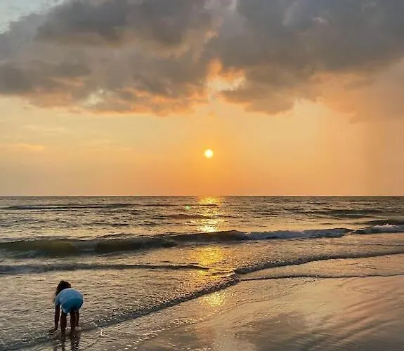 Apartment Barefoot In Indian Shores Minutes From Clearwater