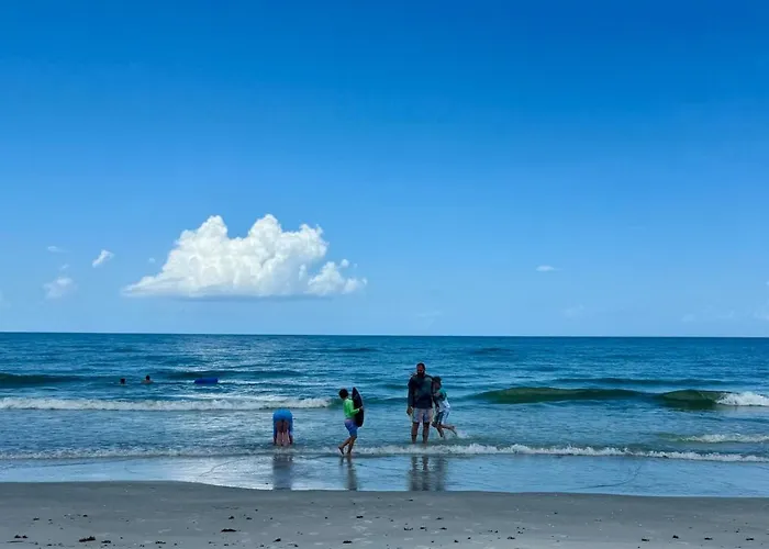 Barefoot In Indian Shores Minutes From Clearwater Apartment *